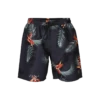 Brunotti Maron-AO Badeshorts -Fridykker Salgsbutik billeder1 1
