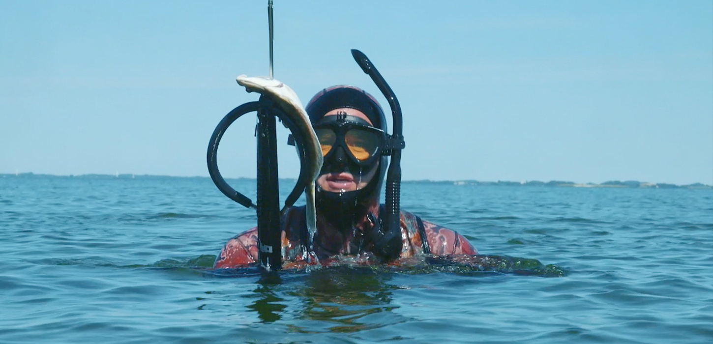 Forside -Fridykker Salgsbutik 14